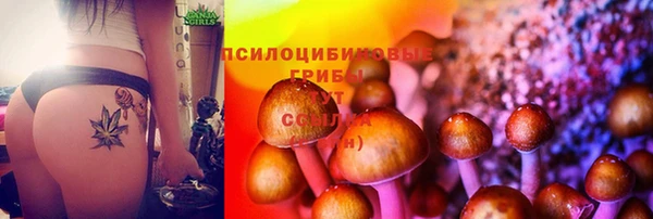 MDMA Богородск