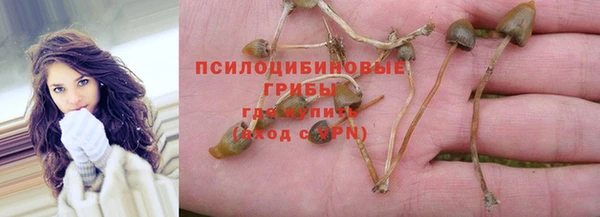 MDMA Богородск