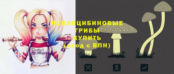 МДМА Богородицк