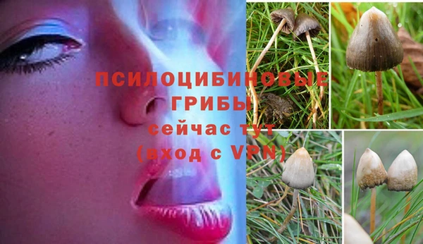 MDMA Богородск