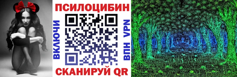 Псилоцибиновые грибы мицелий  Купить  Карпинск 